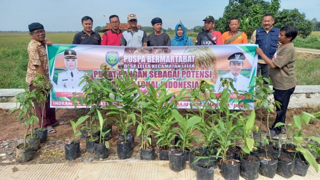 Pemdes Lelea Turut Tekan Inflasi Lewat Puspa Bermartabat