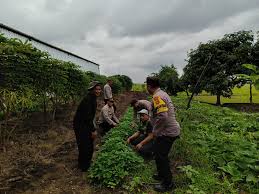 Potensi Pertanian dan Perikanan Desa Lelea